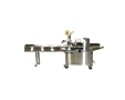 Horizontal Flow Wrapping Machines - Rotary (Model 40)