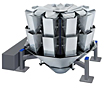 Multi Head Weighing Systems - 2